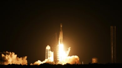 Photo of China sends 4 new satellites into space