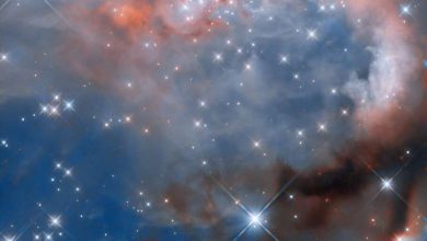 Photo of Hubble captures infant stars transforming a nebula