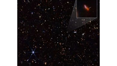 Photo of Webb telescope finds most distant galaxy ever observed, again