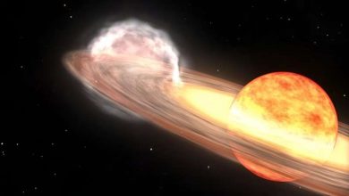 Photo of NASA, global astronomers await rare nova explosion