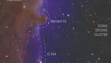 Photo of Euclid is finding free floating planets in Orion, too
