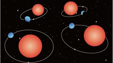 Photo of Researchers discover mysterious mini-Neptunes