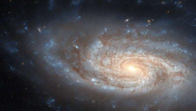 Photo of Hubble images NGC 3430, a classic spiral galaxy