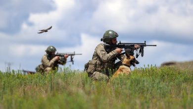 Photo of Turkish forces eliminate 13 PKK/YPG terrorists in Iraq, Syria