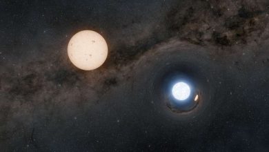 Photo of Astronomers discover what may be 21 neutron stars orbiting sun-like stars