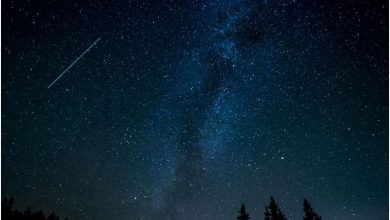 Photo of Two meteor showers will flash across the sky around the same time in late July
