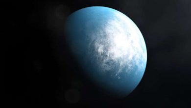 Photo of Webb telescope: Nearby exoplanet could be first known ocean world
