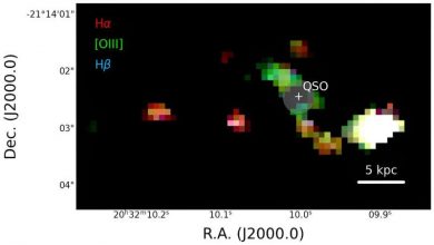 Photo of Webb captures a staggering quasar-galaxy merger in the remote universe