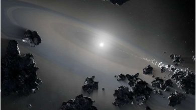 Photo of Astronomers use AI to find elusive stars ‘gobbling up’ planets