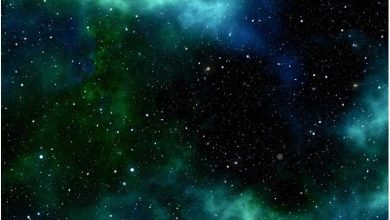Photo of Astrobiologist explores likelihood of life originating on Earth