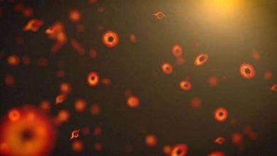 Photo of Primordial black holes could kick out stars and replace them