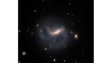 Photo of Hubble spotlights a supernova