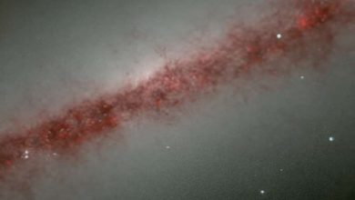 Photo of Astronomers explore the nature of galaxy NGC 891 with JWST