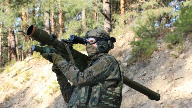 Photo of Lithuania, Poland Seek Joint Procurement of Piorun Air Defense System