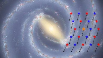 Photo of Discovery of ancient stars on the stellar thin disk of the Milky Way
