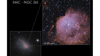 Photo of Hubble traces star formation in nearby nebula NGC 261