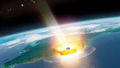 Photo of Scientists pinpoint dino-killing asteroid’s origin