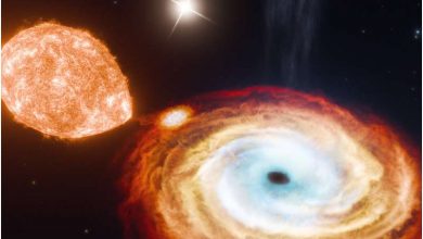 Photo of Discovery of ‘black hole triple’ may be first direct evidence of ‘gentle’ black hole formation