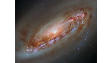 Photo of Hubble captures a new view of galaxy M90
