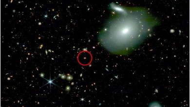 Photo of Astronomers detect ancient lonely quasars with murky origins