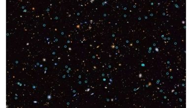Photo of Webb finds dozens of supernovae remnants in the Triangulum Galaxy