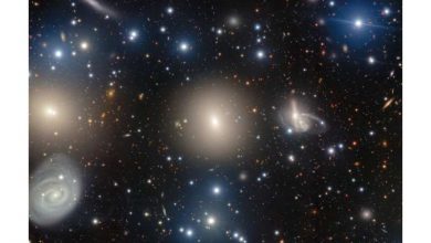 Photo of Dark matter has a firm grip on these galaxies
