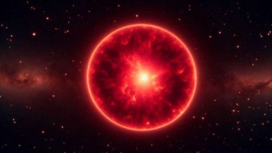 Photo of ‘Old’ star could provide new insights into star evolution