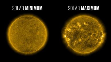 Photo of Sun reaches maximum phase in 11-year solar cycle