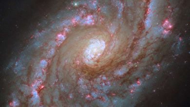 Photo of Hubble captures spiral galaxy NGC 5248