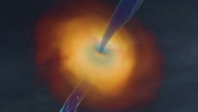 Photo of Simulations reveal black holes inherit magnetic fields from parent stars