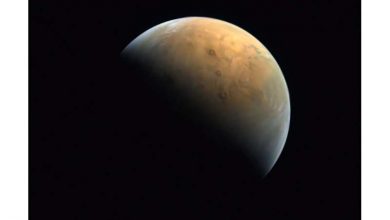 Photo of Chinese rover finds evidence of ancient Martian ocean