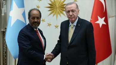 Photo of Turkish, Somali presidents meet in Ankara