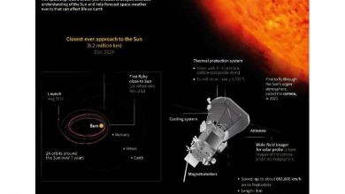 Photo of NASA probe makes closest ever pass by the sun