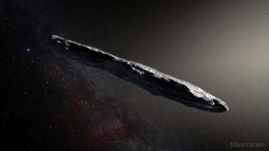 Photo of Astronomers discover more dark comets