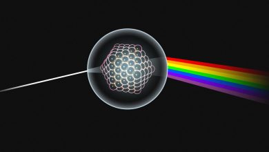Photo of Poland Developing First Military Quantum Computer