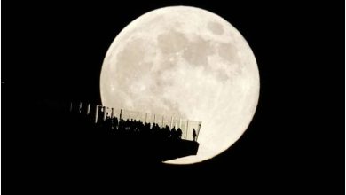Photo of Here’s your 2025 guide to the night sky and other celestial wow moments
