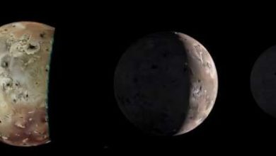 Photo of Planets without plate tectonics could still be habitable