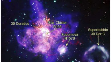 Photo of NASA telescopes deliver stellar bouquet in time for Valentine’s day