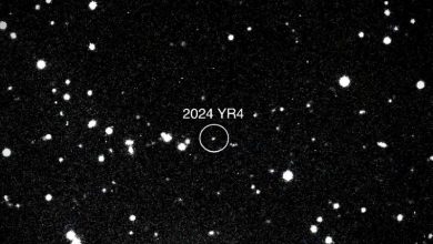 Photo of A ‘city-killer’ asteroid might hit Earth—how worried should we be?