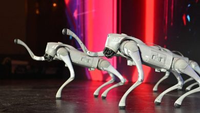 Photo of Report: China Mulls Arming Robot Dogs With Controversial Weapon