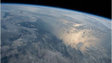 Photo of Does planetary evolution favor human-like life?