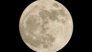 Photo of NASA puts biggest rocket pieces together for Artemis II moon mission