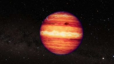 Photo of Webb exposes complex atmosphere of starless super-Jupiter