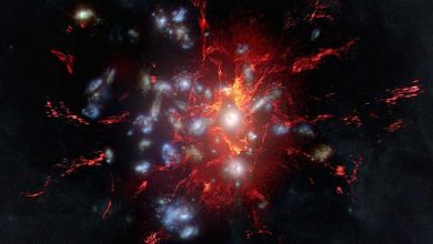 Photo of Hidden cosmic fuel tank found in infant galaxy cluster