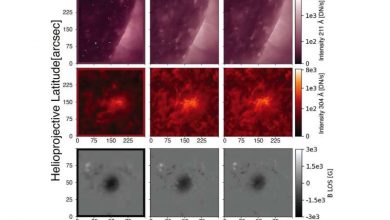 Photo of From past to future: AI brings new light to solar observations