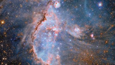 Photo of Hubble spots star cluster NGC 346