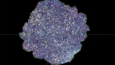 Photo of ‘Hidden galaxies’ could be smoking gun in universe riddle