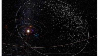 Photo of Why some meteor showers are so unpredictable