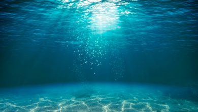 Photo of Turkish scientists to explore sea depths for space life clues