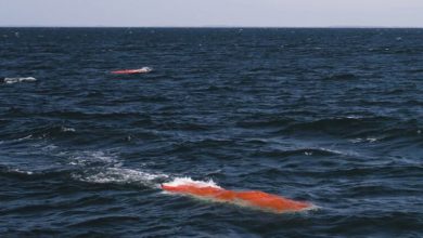 Photo of US, South Korea Set Sail on Next-Gen Drone Boat Development